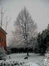 Gennaio 2004 Neve alle CaseRosse