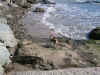 lalioceano3.jpg (106112 byte)
