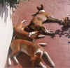 1alsoleot.jpg (210226 byte)