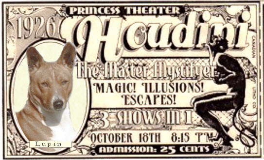 Houdini card