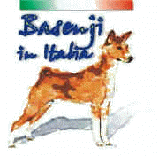 Basenji in Italia