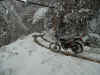 29feb1ot.JPG (85100 byte)